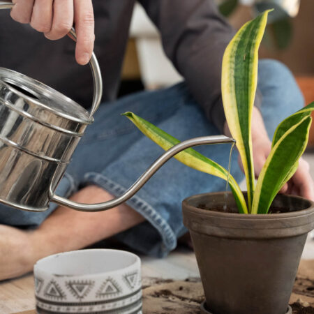 Slika pokazuje devojku kako sedi na podu i zaliva biljku u saksiji.