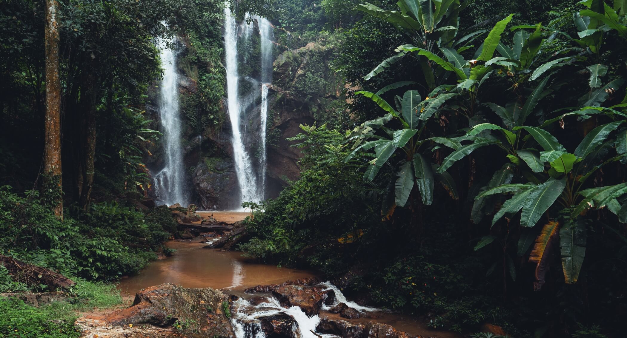 Slika pokazuje kako izgleda zelena prašuma sa vodopadom, rekom i drvećem.